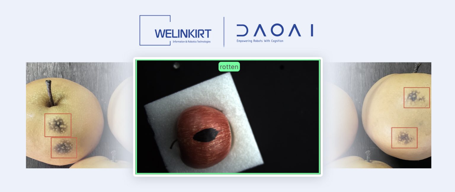 水果分拣和分级