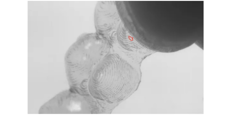 德赢·(VWIN)官方网站-AC米兰官方相助同伴